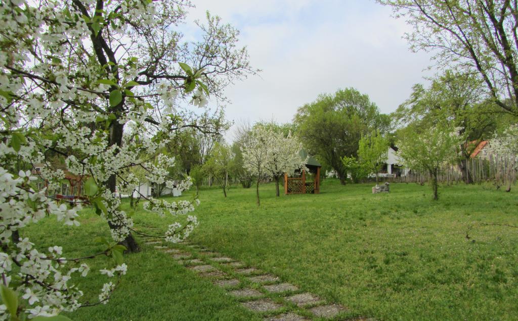 Szigligeti Panorama Apartmanhaz Bagian luar foto